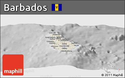Shaded Relief Panoramic Map of Barbados, desaturated