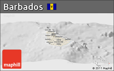 Shaded Relief Panoramic Map of Barbados, lighten, desaturated