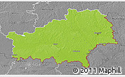 Physical 3D Map of Homyel', desaturated