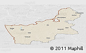 Shaded Relief Panoramic Map of Hrodna, lighten, desaturated