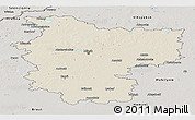 Shaded Relief Panoramic Map of Minsk, semi-desaturated
