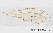 Shaded Relief Panoramic Map of Belgium, lighten, desaturated