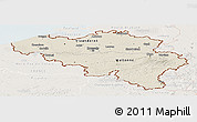 Shaded Relief Panoramic Map of Belgium, lighten