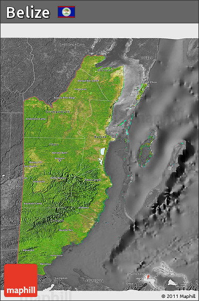 Satellite 3D Map of Belize, desaturated
