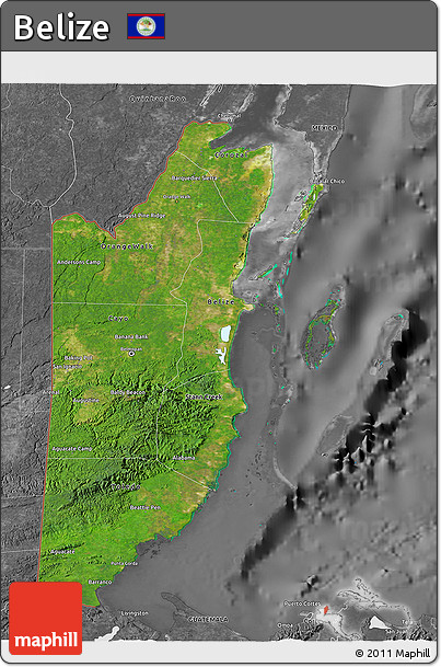 Satellite 3D Map of Belize, desaturated