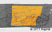 Political Panoramic Map of Cayo, darken, desaturated