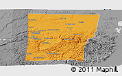 Political Panoramic Map of Cayo, desaturated