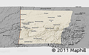 Shaded Relief Panoramic Map of Cayo, darken, desaturated