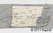 Shaded Relief Panoramic Map of Cayo, darken, semi-desaturated