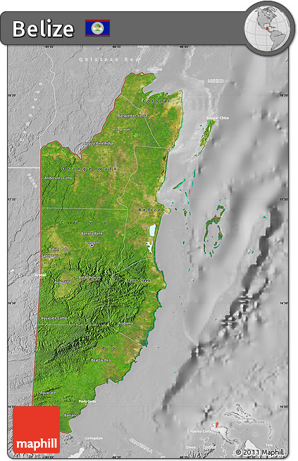 Satellite Map of Belize, lighten, desaturated