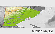 Physical Panoramic Map of Toledo, desaturated