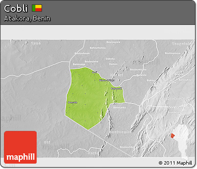 Physical 3D Map of Cobli, lighten, desaturated