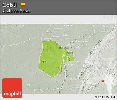 Physical 3D Map of Cobli, lighten, semi-desaturated