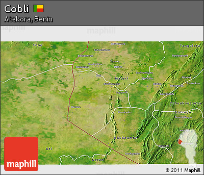 Satellite 3D Map of Cobli