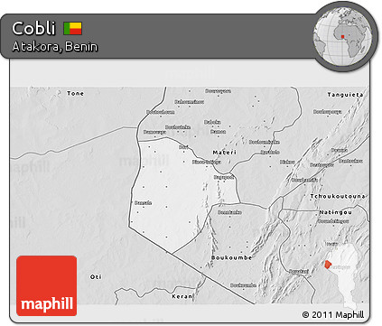 Silver Style 3D Map of Cobli
