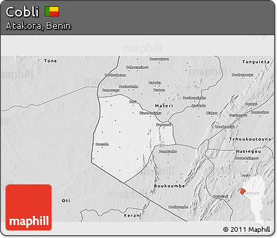 Silver Style 3D Map of Cobli