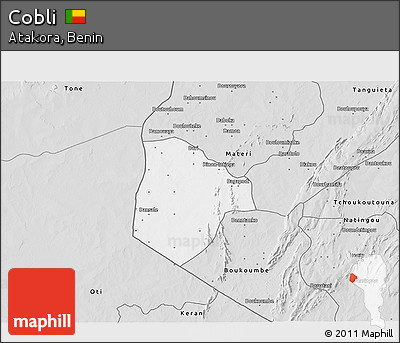 Silver Style 3D Map of Cobli