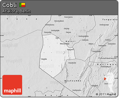 Silver Style Map of Cobli