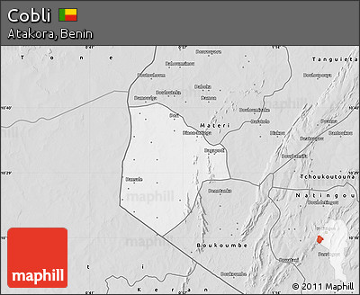 Silver Style Map of Cobli