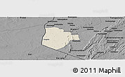 Shaded Relief Panoramic Map of Cobli, darken, desaturated