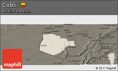 Shaded Relief Panoramic Map of Cobli, darken