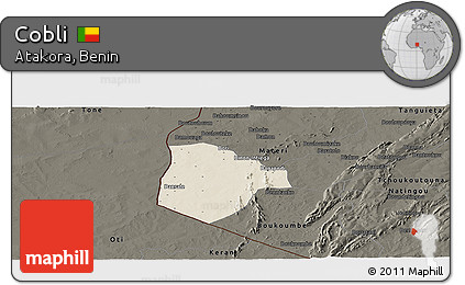 Shaded Relief Panoramic Map of Cobli, darken