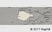 Shaded Relief Panoramic Map of Cobli, darken, semi-desaturated