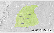 Physical 3D Map of Pehonko, lighten, desaturated