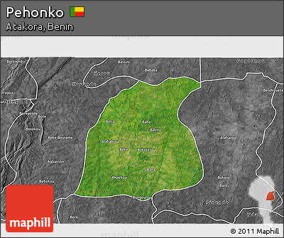 Satellite 3D Map of Pehonko, desaturated