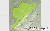 Physical 3D Map of Tanguieta, semi-desaturated