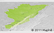 Physical Panoramic Map of Tanguieta, lighten, desaturated
