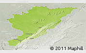 Physical Panoramic Map of Tanguieta, lighten, semi-desaturated