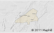 Shaded Relief 3D Map of Tchoukoutouna, lighten, desaturated