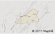 Shaded Relief 3D Map of Tchoukoutouna, lighten, semi-desaturated