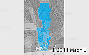 Political Shades Map of Oueme, desaturated