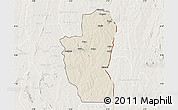 Shaded Relief Map of Save, lighten