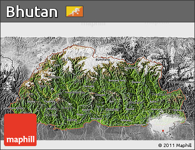 Satellite 3D Map of Bhutan, desaturated