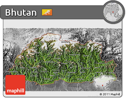 Satellite 3D Map of Bhutan, desaturated