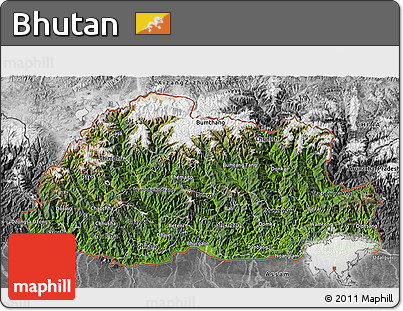 Satellite 3D Map of Bhutan, desaturated