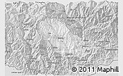 Silver Style 3D Map of Daga
