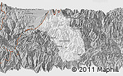 Gray Panoramic Map of Paro