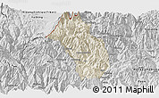 Shaded Relief Panoramic Map of Paro, desaturated