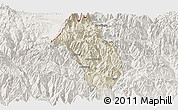 Shaded Relief Panoramic Map of Paro, lighten