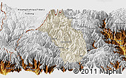 Shaded Relief Panoramic Map of Paro, physical outside