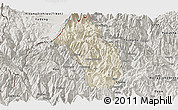 Shaded Relief Panoramic Map of Paro, semi-desaturated