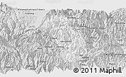 Silver Style Panoramic Map of Paro