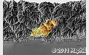Physical 3D Map of Pema Gatshel, darken, desaturated