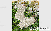 Shaded Relief 3D Map of Tashigang, satellite outside