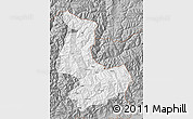 Gray Map of Tashigang