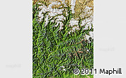 Satellite Map of Tashigang